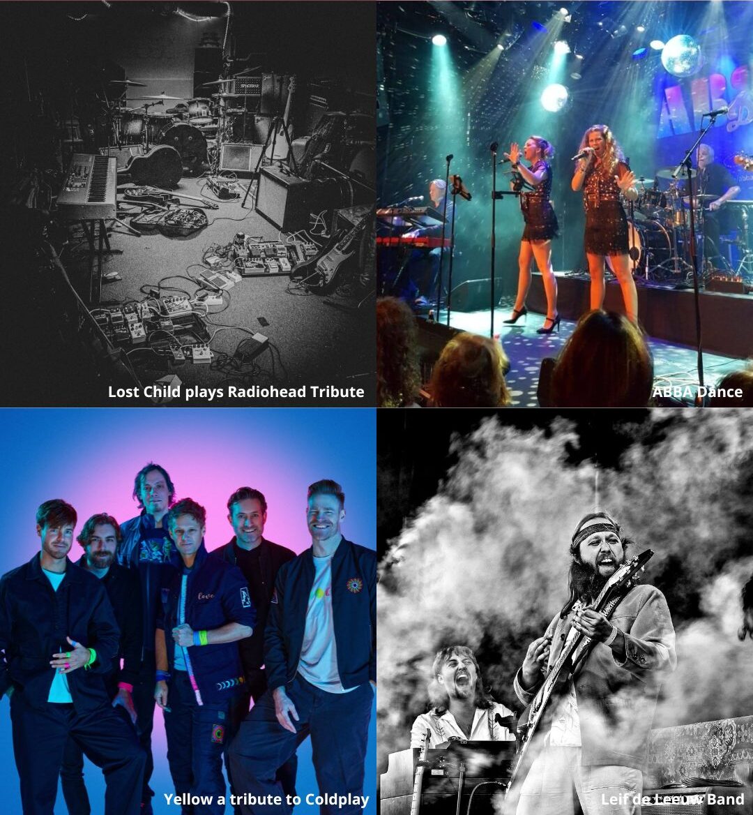 Geef een popconcert bij Theater Twee Hondjes cadeau!